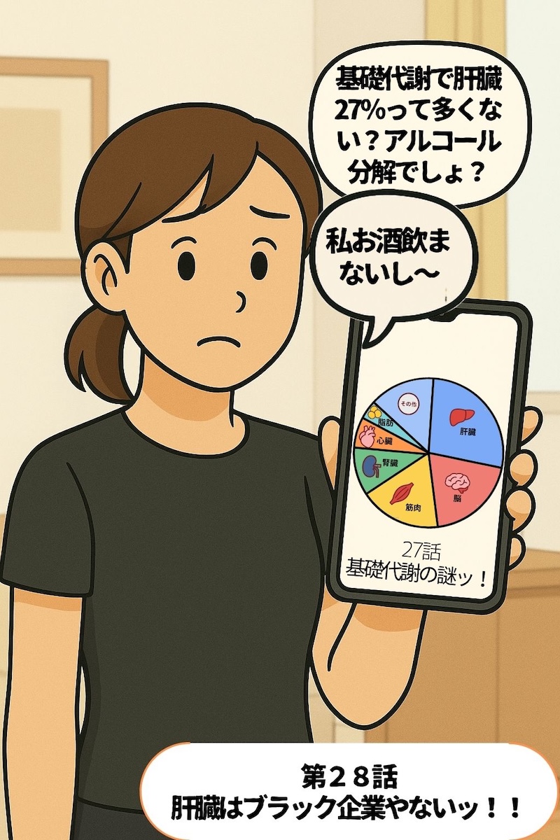 第28話 肝臓はブラック企業やないッ！