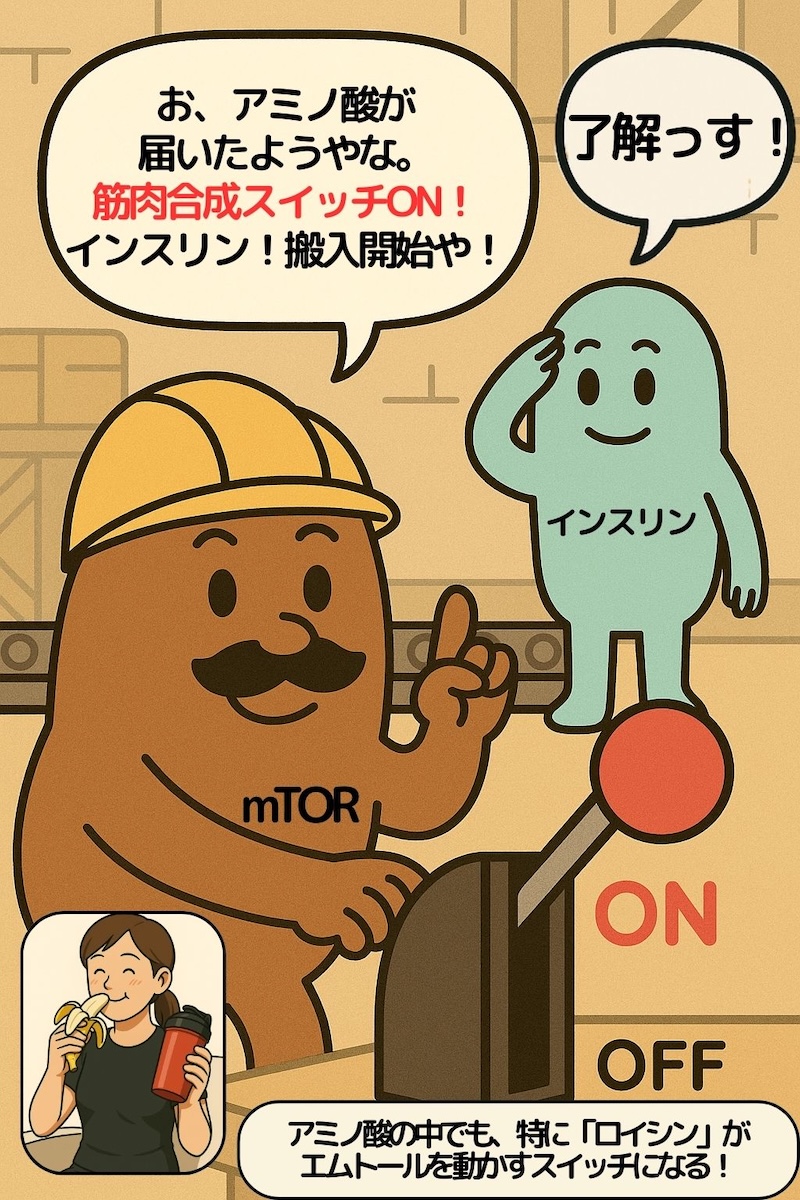 第70話 筋肉工場のスイッチマンmTOR登場ッ 3ページ目