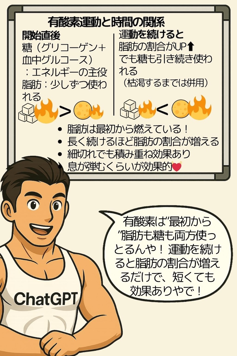 第88話 短くても効く有酸素の仕組み 3ページ目