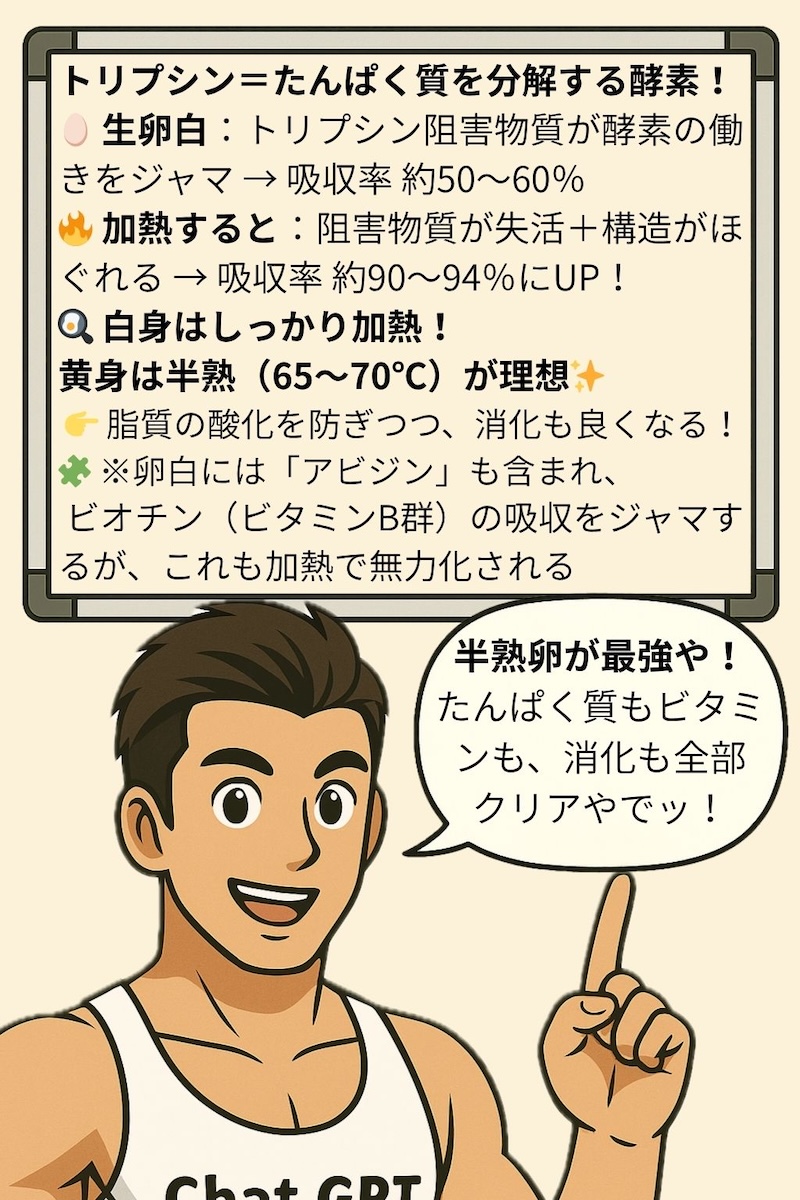 第107話 筋肉流・卵の食べ方／〜生より火を通せ吸収率２倍の真実〜 4ページ目
