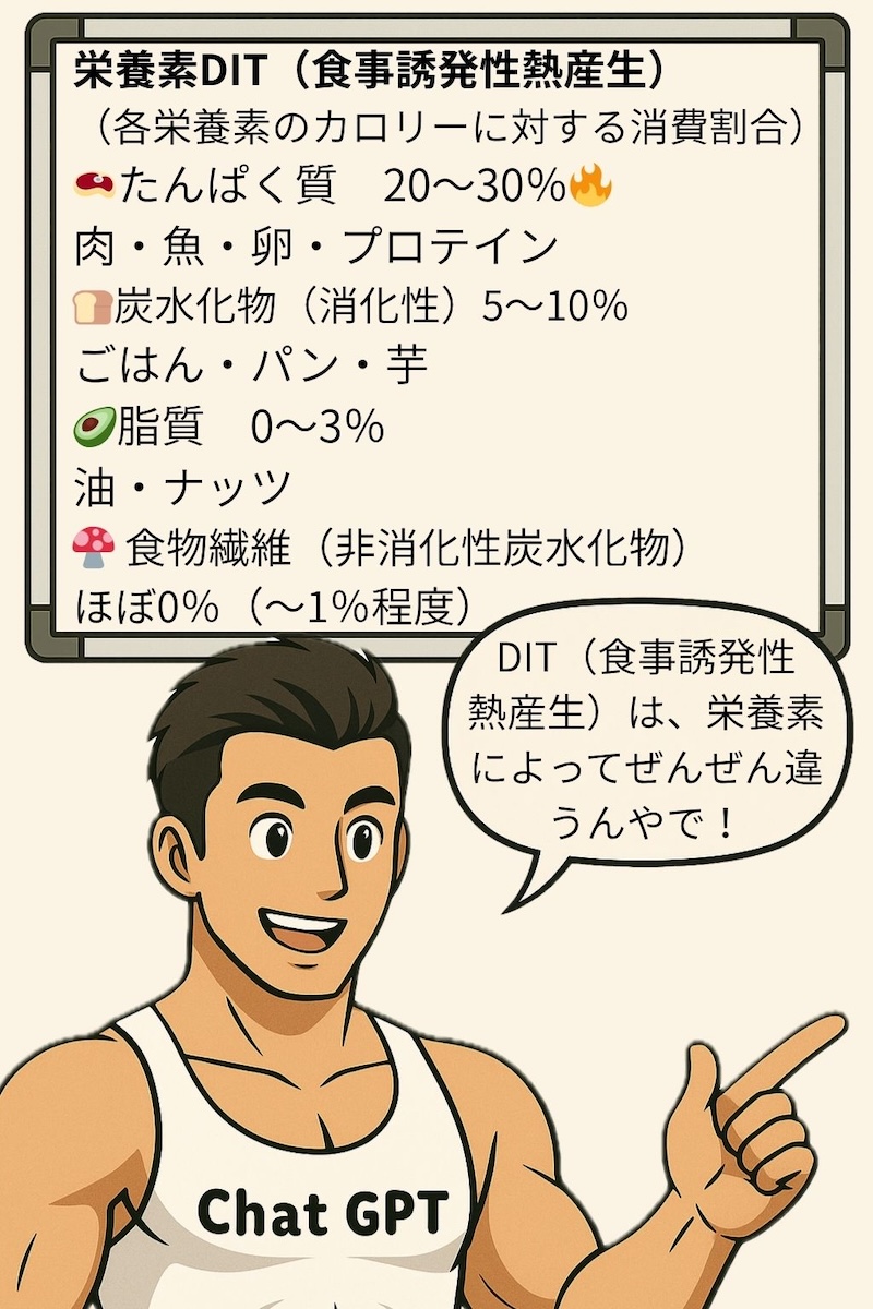 第109話 食べるだけで燃えるDITのひみつ 4ページ目